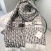 Classic Dior Winter Scarf-2827759