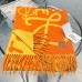 Classic Loewe Winter Scarf-9011364