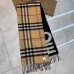 Classic Burberry Winter Scarf-8738476