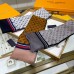 Classic LOUIS VUITTON LV Winter Scarf-717951