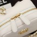 CHANEL Women Handbag bag shoulder bag Diagonal span bag-1112033